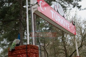 Türkiye'ye gelenleri hudutta tavus kuşları karşılıyor