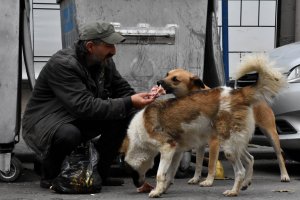 Sokak hayvanları sevgisi hayata bağladı