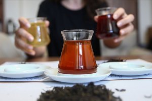'Türkiye'de ilk kez oolong çayı üretildi'