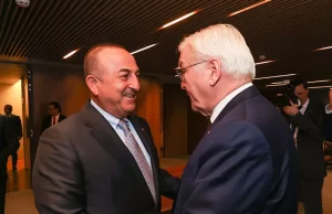 Bakan Çavuşoğlu, Brezilya'da Almanya Cumhurbaşkanı Steinmeier ile görüştü