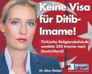   Almanya’da İslam ve göçmen düşmanı AfD partisi, Avrupa Parlamentosu