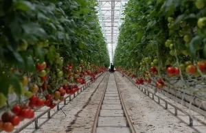 Türkiye'den ocak-mart döneminde 45 ülkeye 128 milyon 909 bin dolarlık