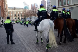 Lahey Hollanda'da sarı yeleklilerden protesto gösterisi   Çeşitli kentlerde toplanan