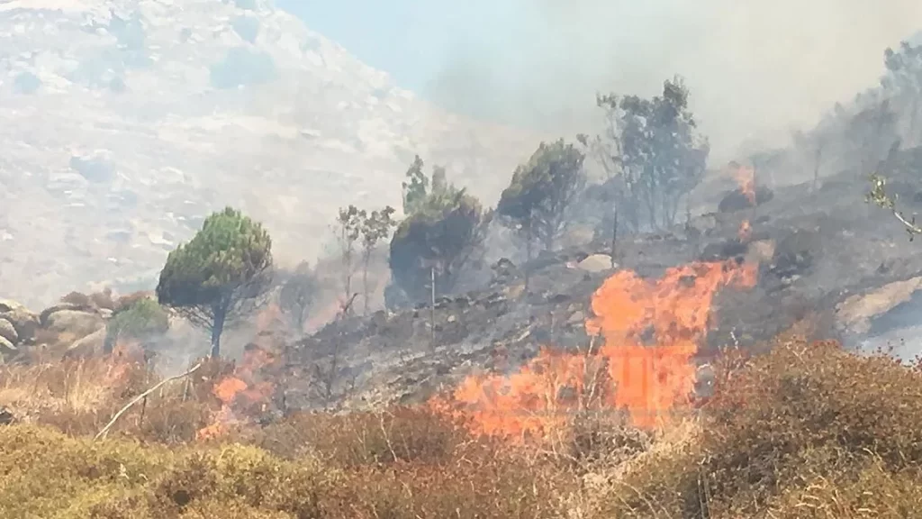 Marmara Adası alevlere teslim