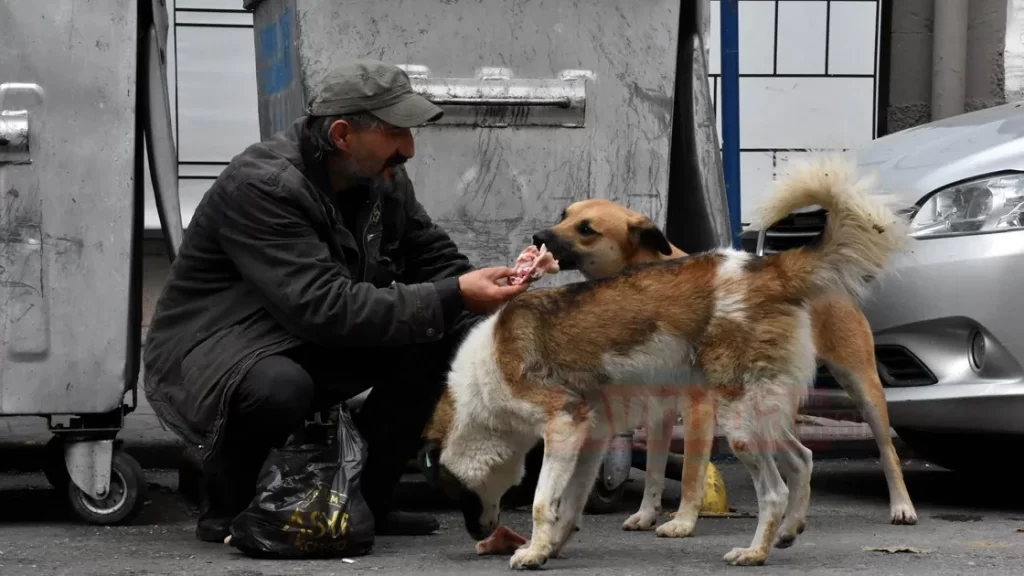 Sokak hayvanları sevgisi hayata bağladı