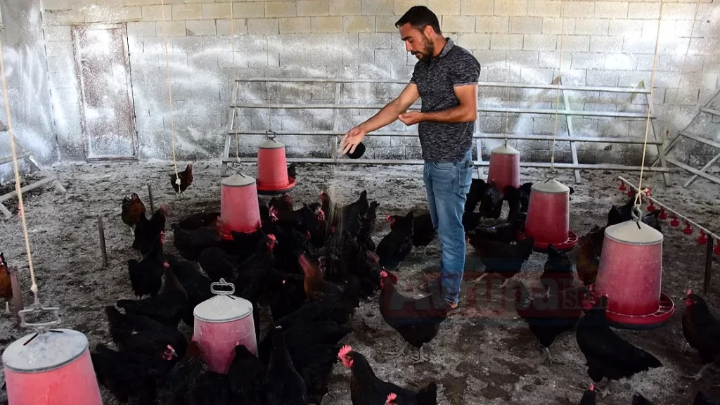 İnşaat işçisiydi hibe desteğiyle çiftlik kurdu