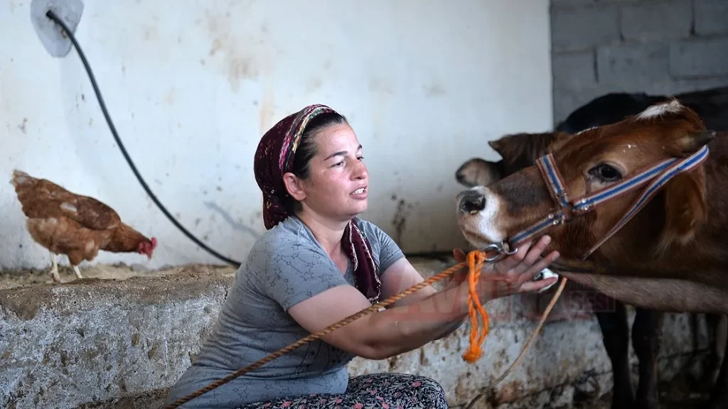 Ev temizliğine gidiyordu