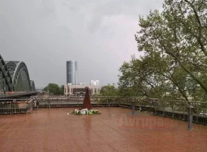   Almanya'nın Köln kentinde Türkiye Gençlik Birliği (TGB) üyesi gençler,