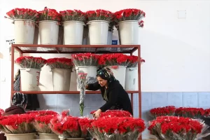 Orta Anadolu Süs Bitkileri ve Mamulleri İhracatçıları Birliği Başkanı Yılmaz: