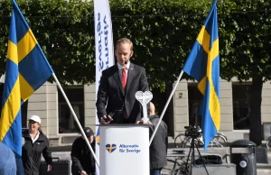 İsveç'in başkenti Stockholm'de aşırı sağcı İsveç İçin Alternatif Partisi (AFS),