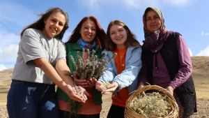 Indiana Üniversitesinde öğretim üyeliği yaparken Burdur'un Karamanlı ilçesindeki köyüne dönen