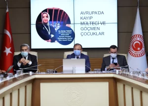 TBMM İnsan Haklarını İnceleme Komisyonunda, Avrupa'da kayıp mülteci ve göçmen