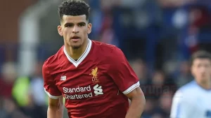 İSTANBUL   İngiltere Premier Lig ekiplerinden Bournemouth, forvet oyuncusu Dominic