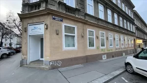 Avusturya'nın başkenti Viyana'da, terör örgütü PKK yandaşları, Avusturya Türk İslam