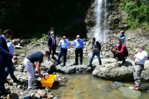 Trabzon'da "Doğal Alabalık Üretilmesi ve Orman İçi Suların Balıklandırılması Projesi"