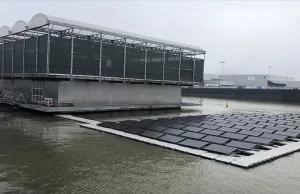 Hollanda'nın Rotterdam kentindeki "dünyanın ilk" yüzen çiftliği, tarım ve hayvancılıkta
