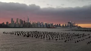 ABD’de New York Eyaleti Sağlık Departmanının, bakımevlerindeki yeni tip koronavirüs