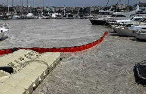 Çevre ve Şehircilik Bakanlığının, Marmara Denizi'ndeki müsilajla (deniz salyası) mücadele