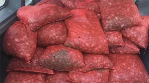 Keşan Emniyet Müdürlüğü Kaçakçılık ve Organize Suçlarla Mücadele Grup Amirliği