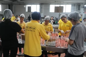  Firmanın yönetim kurulu başkan yardımcısı Şendoğan Susesi: "Avrupa'dan Afrika'ya