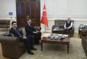 AK Parti İstanbul Milletvekili, Yurtdışı Türkler ve Akraba Topluluklar Alt