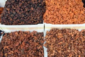 MALATYA   Dünyanın ağzı Malatya kayısısıyla tatlanıyor   Malatya'dan bu