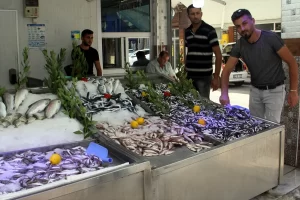 Sinop'ta yeni başlayan av sezonuyla birlikte hamsi tezgahlardaki yerini aldı.
