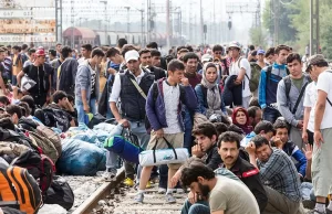 Almanya, Suriye’deki belirsiz durum nedeniyle Suriyeli mültecilerin iltica başvurularını dondurma