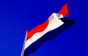 Hollanda’da dört partiden oluşan koalisyon hükümeti, vergi dairesinin gelir incelemesi