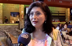 Almanya'da SPD'nin Federal Milletvekili Baradari ile CDU Federal Milletvekili adayı