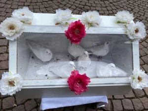 Elmacı ailesinin kızı Tuğba ve Hasan ailesinin oğlu Hüseyin düzenlenen