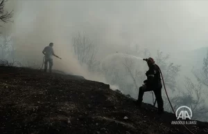 Yunanistan'da 15 günü aşkın süredir devam eden orman yangınları kısmi