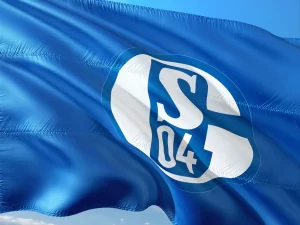 Almanya Birinci Futbol Ligi (Bundesliga) takımlarından Schalke 04, teknik direktör