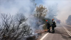 Yunanistan'da Eğriboz Yarımadası'nda çıkan orman yangınının hızla yayılması üzerine tedbir
