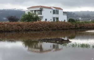 Yunanistan'ın Eğriboz Adası’nda yaşanan seller nedeniyle çok sayıda ev ve