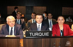 Türkiye, Birleşmiş Milletler Eğitim, Bilim ve Kültür Teşkilatı (UNESCO) Yürütme