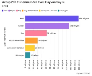 Evcil hayvanlar, günümüzde birer aile üyesi haline gelmiş durumda. Hem