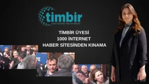 Türk İnternet Medya Birliği (TİMBİR) Genel Başkan Yardımcısı, Gazete Merhaba