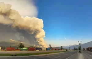 Kanada'nın batısındaki Alberta eyaletine bağlı Jasper bölgesinde etkili olan orman