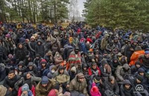 Almanya'ya geçen yıl Belarus'tan gelen düzensiz göçmen sayısının 11 bin