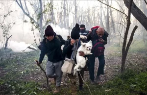 Yunanistan'daki sığınmacı ve mültecilerin birçok barınma problemiyle karşı karşıya oldukları