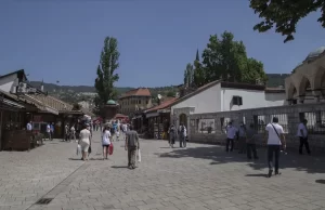 Balkan ülkesi Bosna Hersek'te yeni tip virüsün ilk kez Hindistan'da