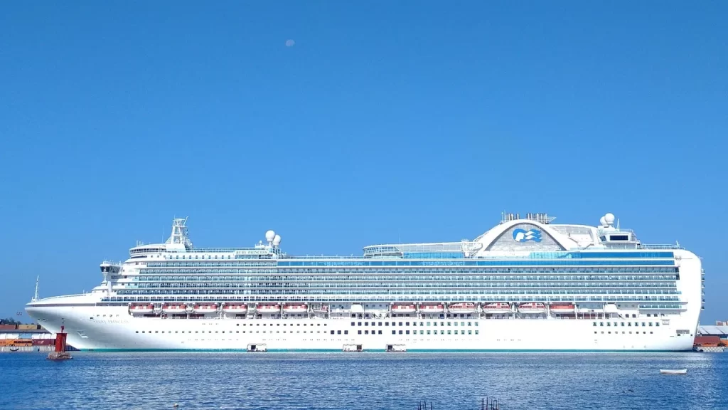 Ruby Princess'te yolcu gemisinde  beşte birinde Kovid-19 vakası göründü