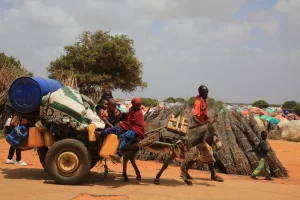 Somali'de gıda ve kuraklık nedeniyle 500 bin çocuğun ölüm riskiyle