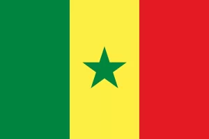 Senegal hükümeti, bazı şehirlerde düzenlenen saldırılar sonrası yurt dışındaki konsoloslukları