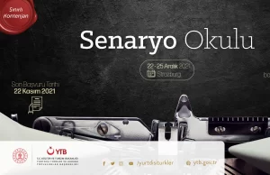 Yurtdışı Türkler ve Akraba Topluluklar Başkanlığı (YTB), sinemacılık alanında çalışmalar