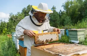 Almanya ve Avusturya'da yapılan kapsamlı bir laboratuvar incelemesi, büyük süpermarket
