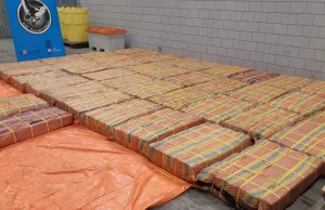 Hollanda'nın liman kenti Rotterdam'da Ekvador'dan gelen bir gemide 3 ton