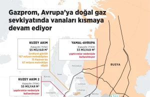 Rusya'nın Kuzey Akım üzerinden Avrupa'ya doğal gaz sevkiyatı günlük 167
