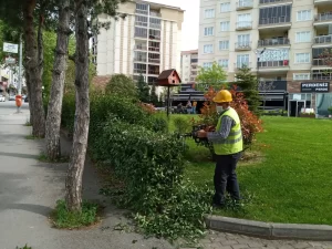 Çevre dostu Belediyecilik anlayışı içinde faaliyetlerini sürdüren Yıldırım Belediyesi, baharın
